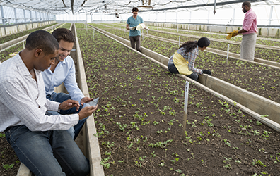 Maxware Systems Solutions Ltd - Agriculture & Agritech